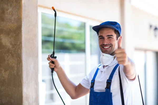 Burleson Wasp Removal