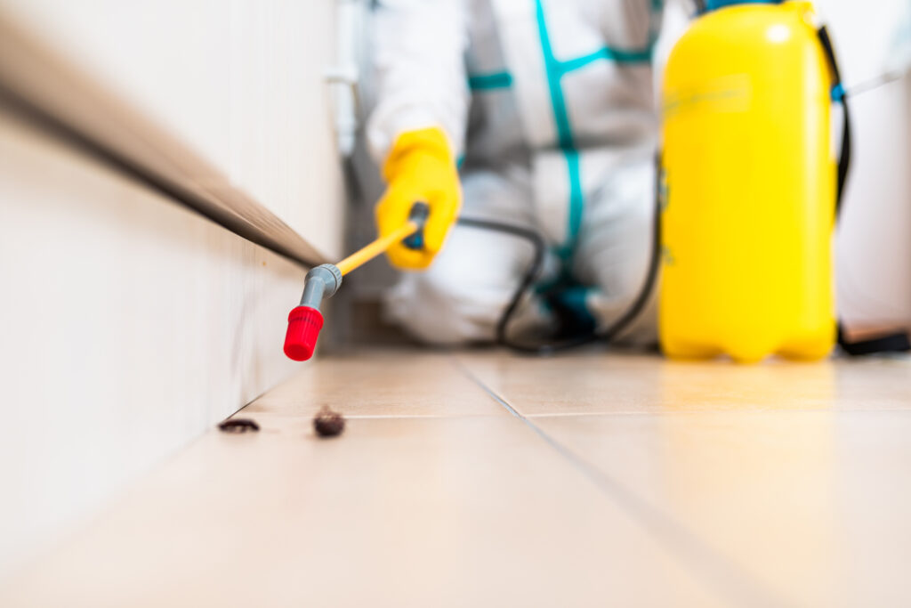 Burleson Cockroach Experts
