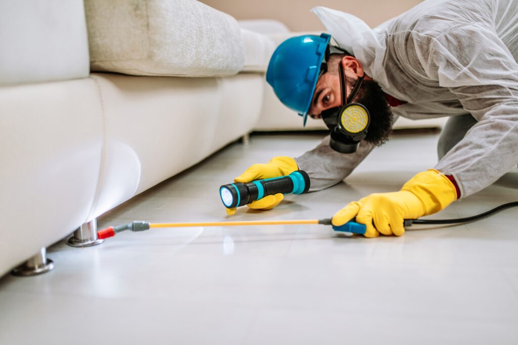 Burleson Termite Control
