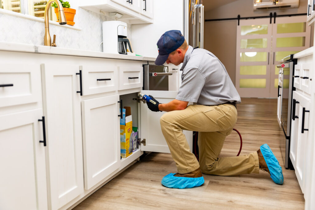 Burleson xpert pest management